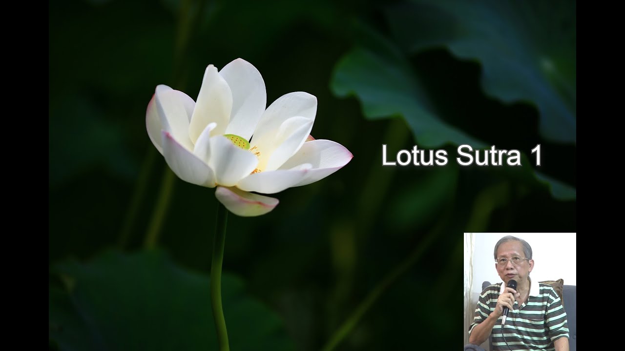 Lotus Sutra 1 ( 妙法蓮華經 1 )