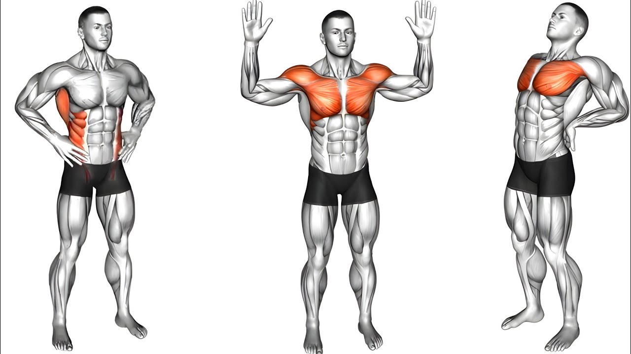 After Waking Up: Activate Your Full Body In 5 Minutes (Standing Morning Exercises)