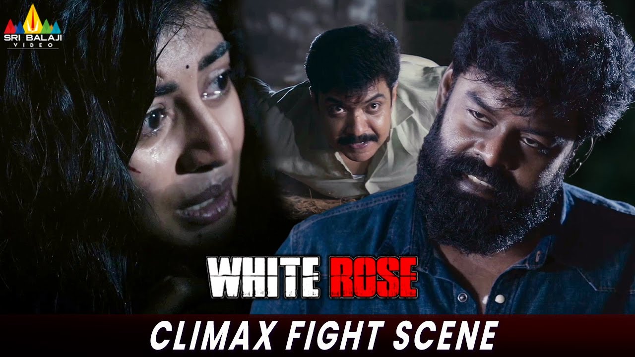 White Rose Movie Climax Fight Scene | Anandhi | RK Suresh | Rittika| Latest Bangla Movie Scenes