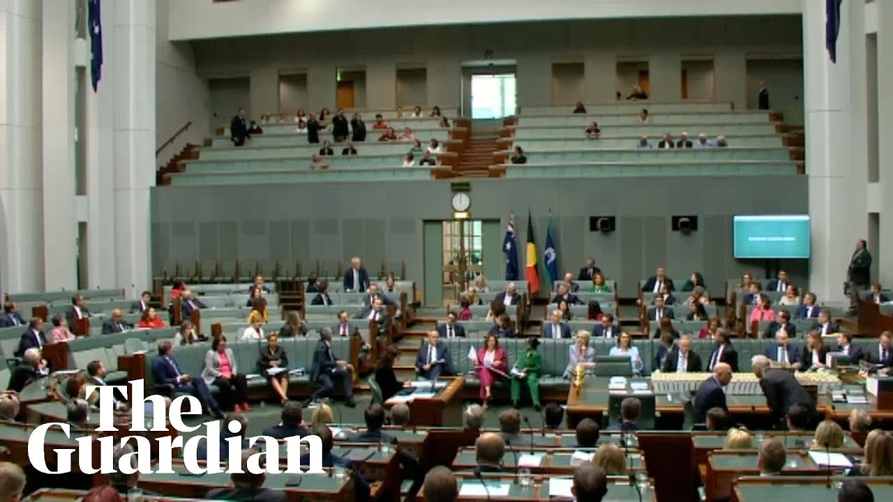 Protesters calling for 'ceasefire now' in Gaza disrupt question time in Parliament House