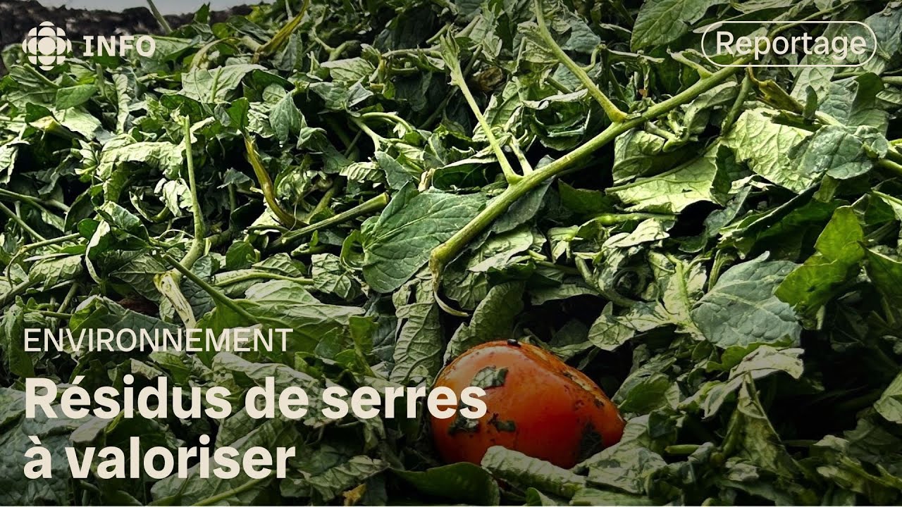 Les résidus des serres, une ressource qui ne demande qu’à être exploitée | La semaine verte