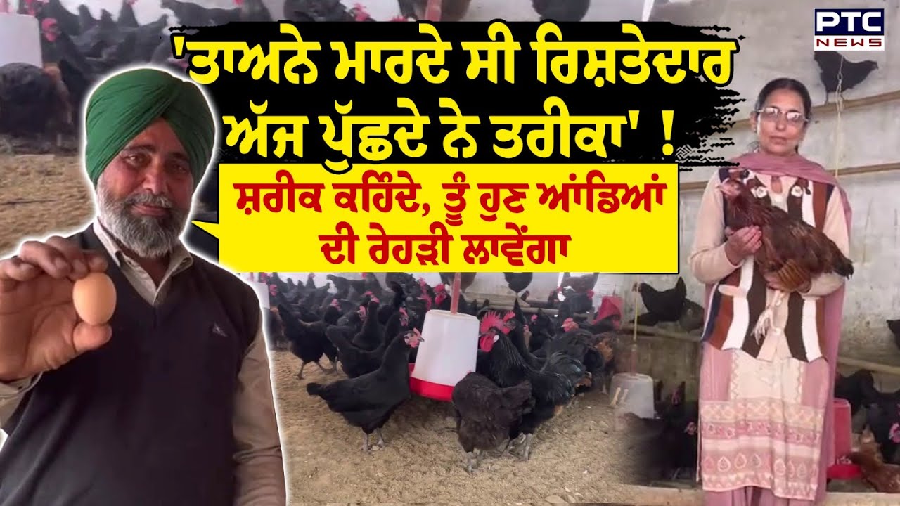 Poultry Farming : ਮੁਰਗੀਆਂ ਪਾਲਣਾ ਆਮ ਗੱਲ ਨਹੀਂ, ਡਾਲਰਾਂ ਬਰਾਬਰ ਹੋ ਸਕਦੀ ਹੈ ਕਮਾਈ, ਨੌਜਵਾਨ ਦੇਖ ਲੈਣ ਵੀਡੀਓ !