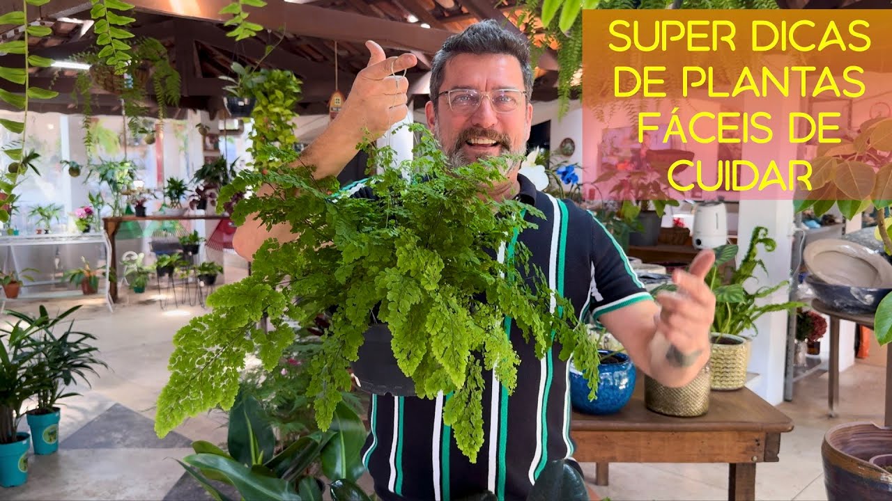 Super Dicas de PLANTAS FÁCEIS DE CUIDAR
