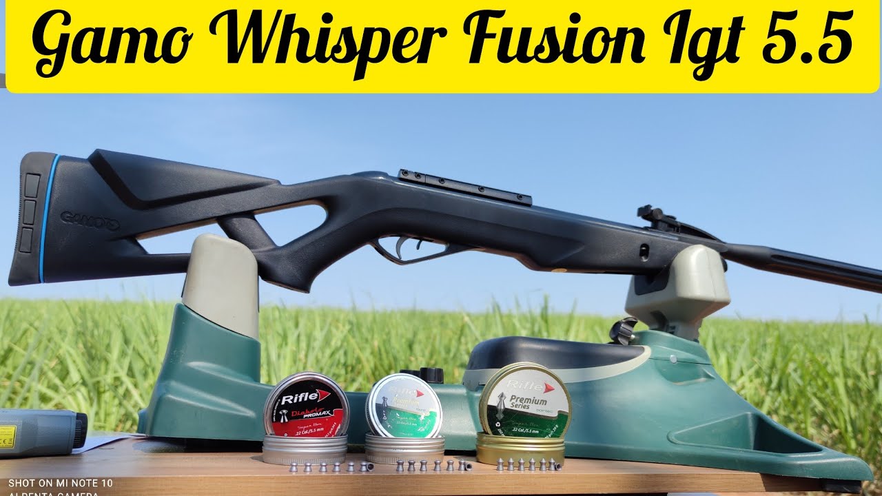 GAMO WHISPER FUSION IGT 5.5 AGRUPAMENTO, ALVOS ALEATORIOS A 30M CHUMBOS RIFLE PROMAX, ROUND, POINTED