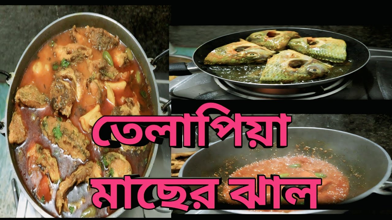 বাড়িতে বসে তেলাপিয়া মাছের ঝাল কিভাবে বানাবেন দেখেনিন ২০২৬