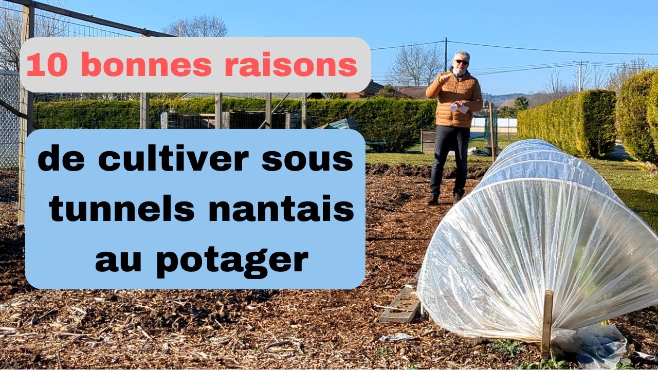 10 bonnes raisons de cultiver au potager sous tunnel nantais