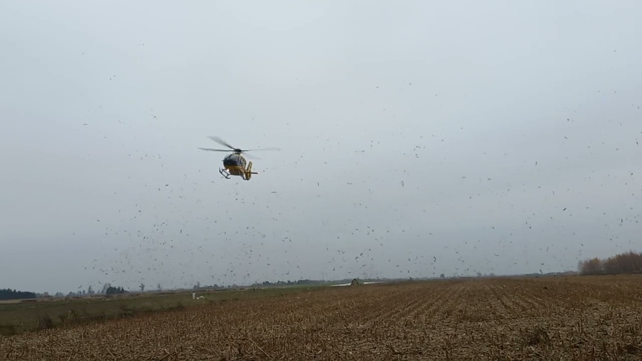 Lądowanie śmigłowca LPR przy DK 62