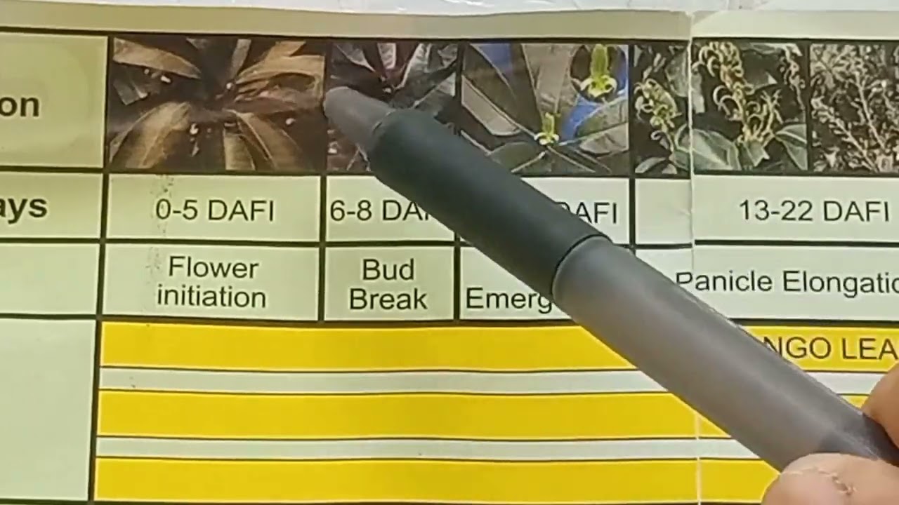 Part 3 review with Syngenta and FMC spray guides