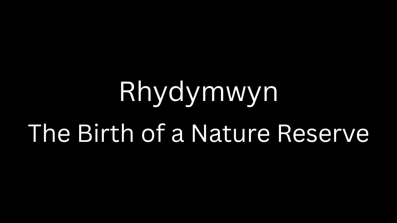 Rhydymwyn - The Birth of a Nature Reserve