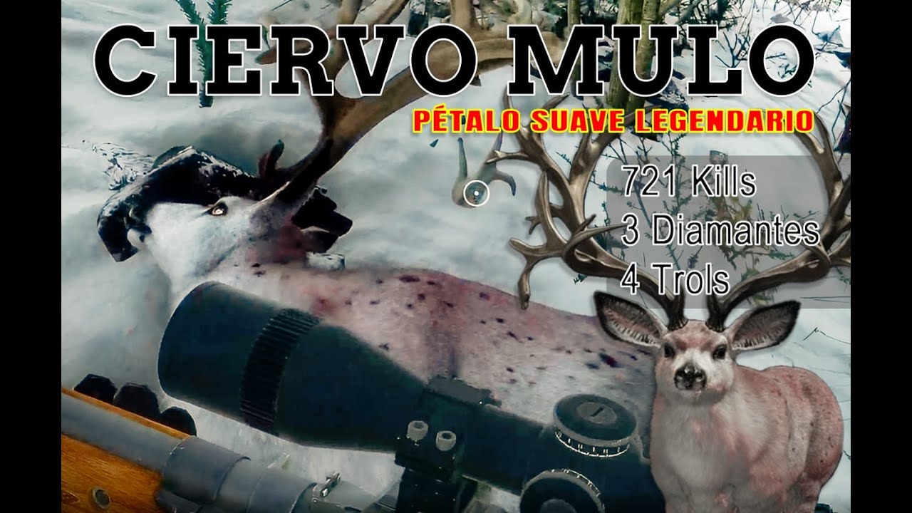 CAZANDO MI PRIMER GO DE CIERVO MULO. THE HUNTER CALL OF THE WILD