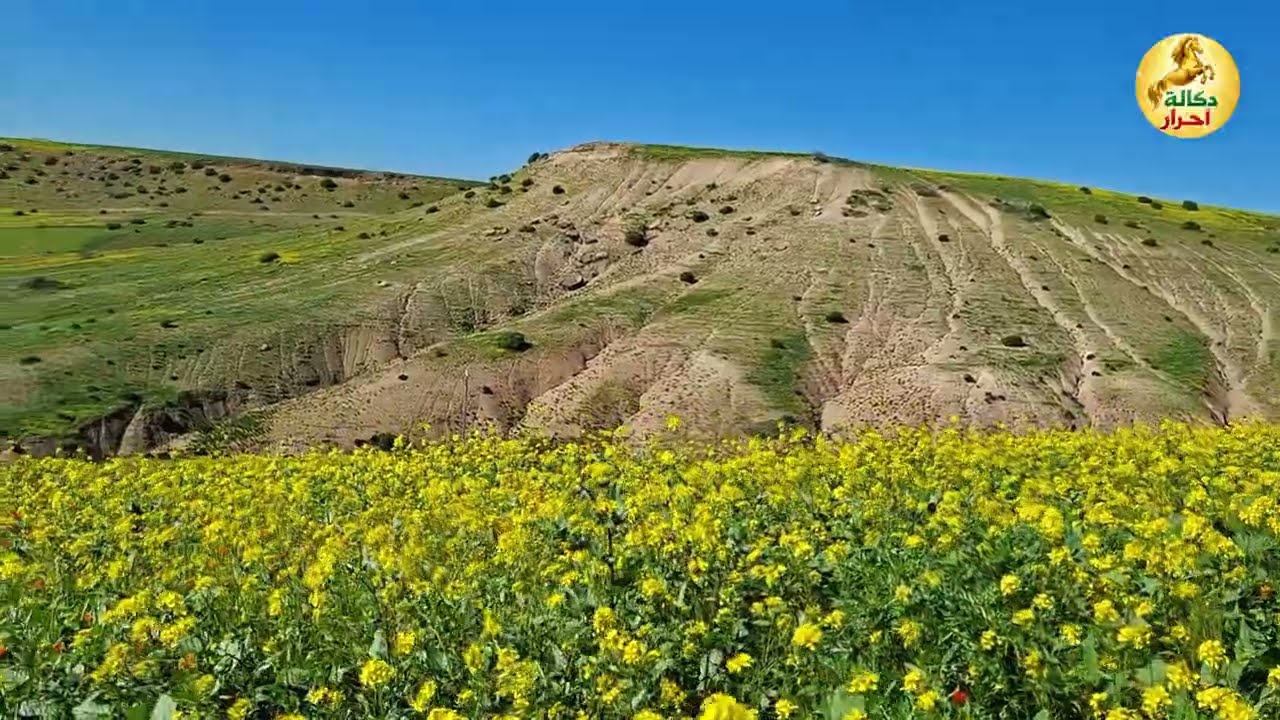 أجواء رمضانية مع طبيعة الساحرة 2026