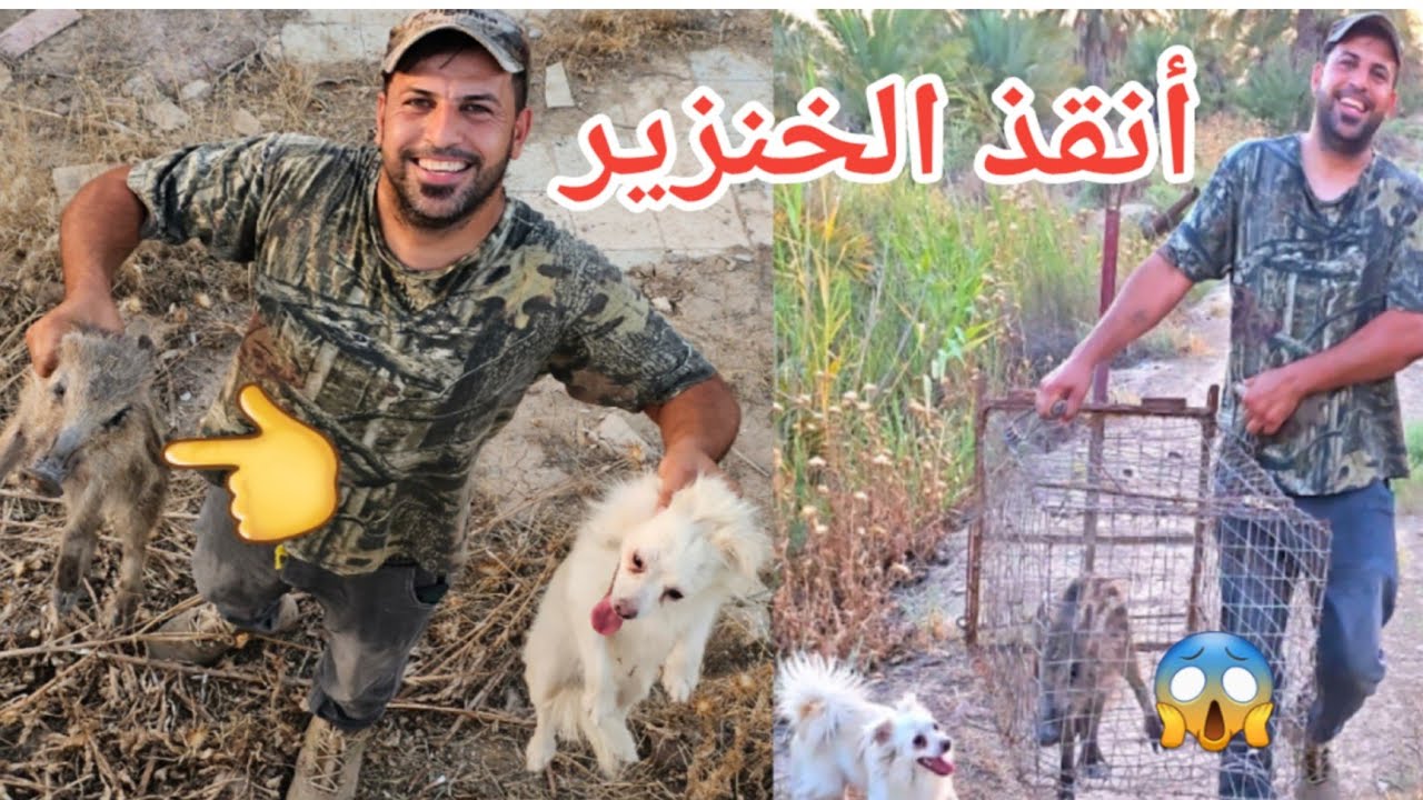 شاهد عملية انقاذ الخنزير البري في اقوى مقاطع المغامرات في العراق