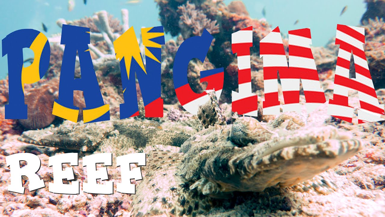 Diving Panglima Reef, Mabul Island - Sabah Malaysia