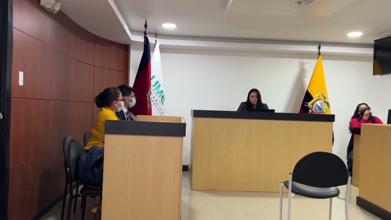 AUDIENCIA ÚNICA (PROCEDIMIENTO SUMARIO) - ALIMENTOS
