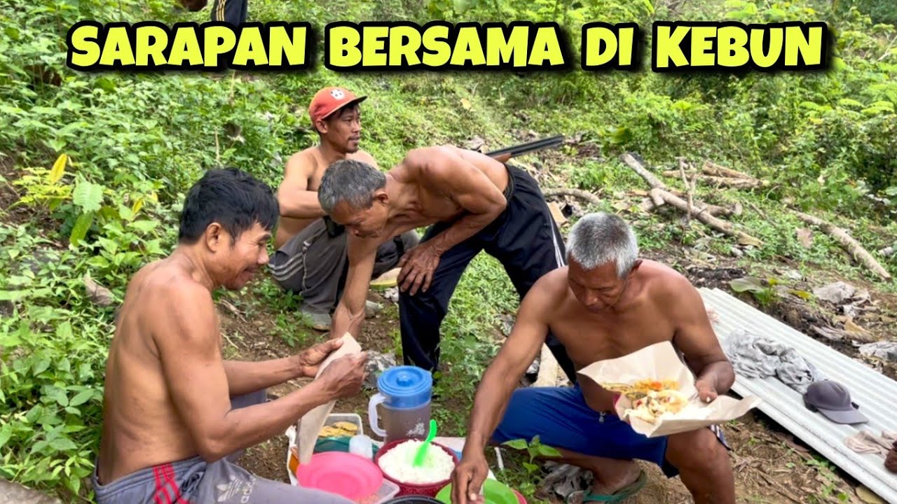 Bapak2 sarapan masakan Emak Darti ‼️ Membangun rumah di kebun