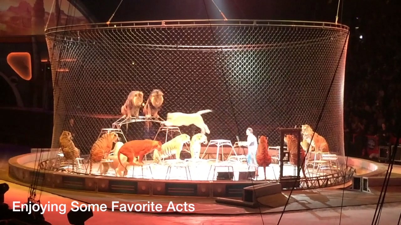 The Greatest Show On Earth - Circus Last Show