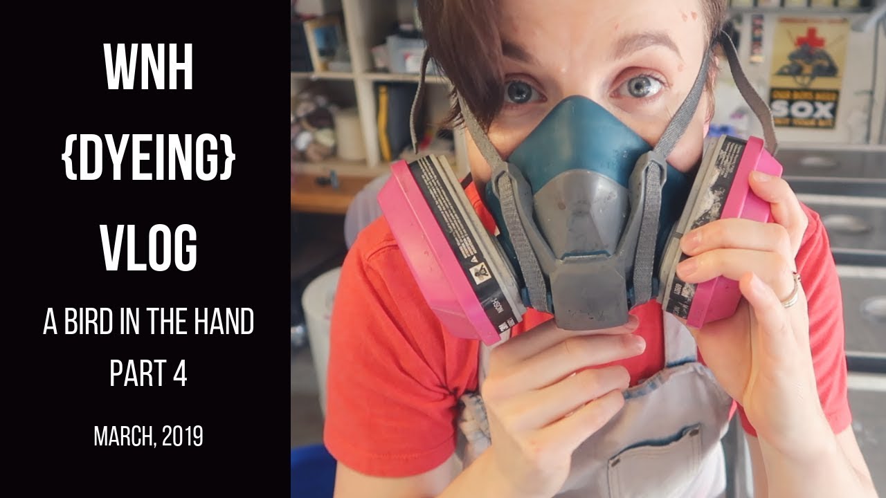 The {Yarn Dyeing} Vlog-A Bird in the Hand Part 4 with Fiber for the People® (March,  2019)
