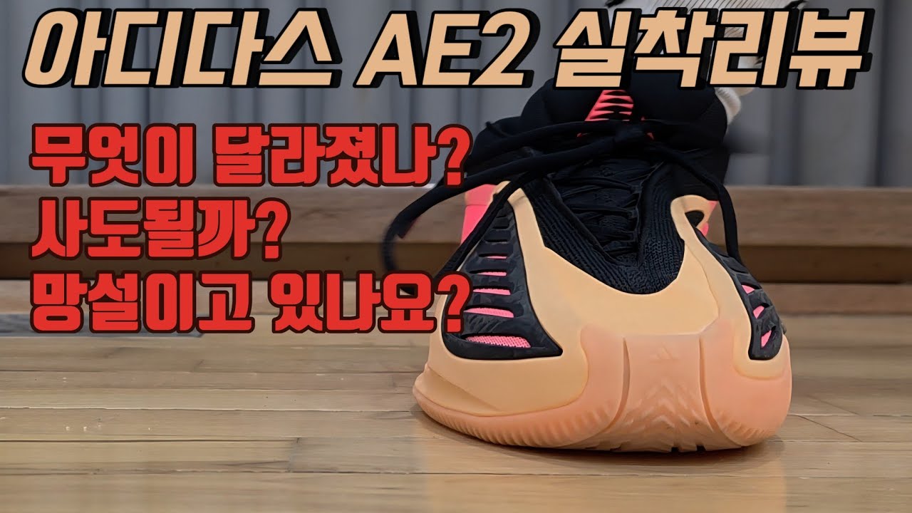 Adidas AE2 실착리뷰 [구매를 고민하는 당신에게 바칩니다] 