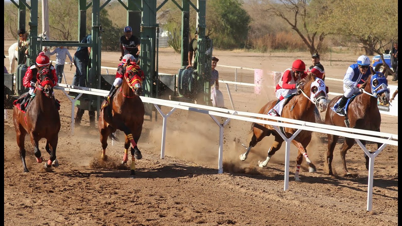 Carreras de Caballos Hipodromo Los Mezquites 18 Mayo 2025