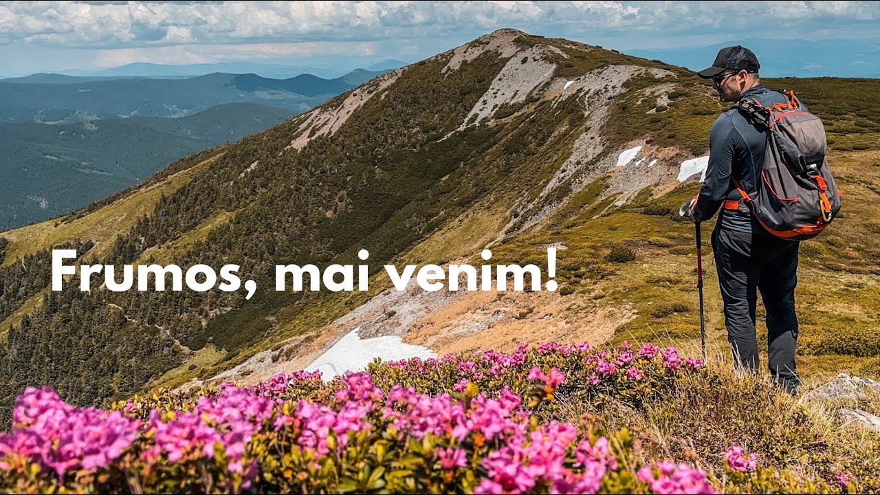 Muntele Roz, Rododendronii din Călimani | Vf. Bistriciorul, Lacul Colibița