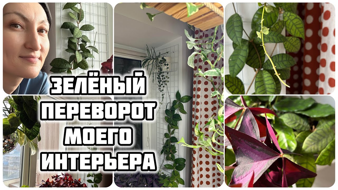 Место силы под чашечку кофе ☕️ Как создать уютный уголок у себя на кухне?
