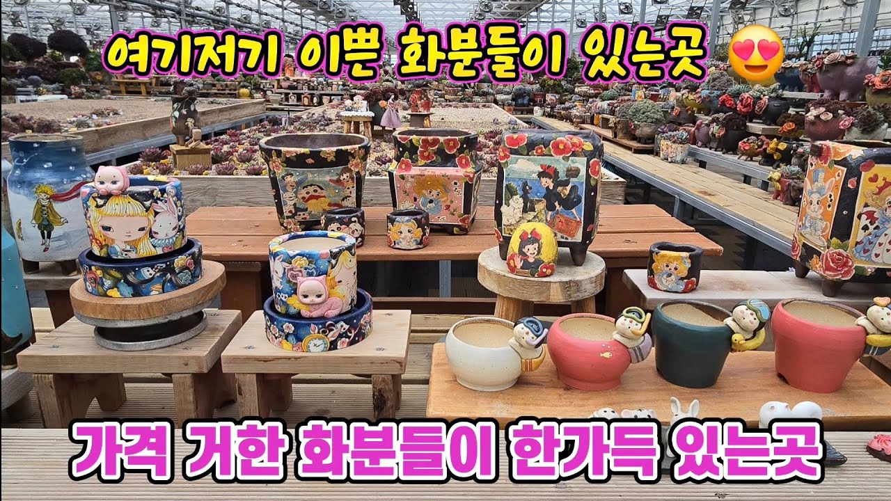 여기는 고가의 화분들이 모여 있는곳 명품 수제화분 수집 판매 하시는 오로라다육화분 누나님 키핑장 이전해서 구경 왔어요 #수제화분 #명품화분 #다육이 #오로라다육화분 #달콤한총각다육