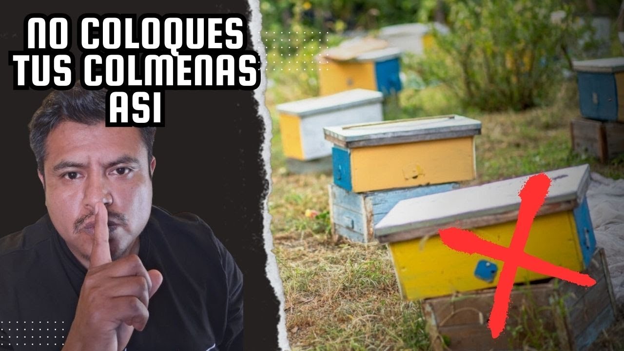 ⚠ &iexcl;ATENCI&Oacute;N! No Pongas Tus Colmenas en Cualquier Lugar | Cruces Tel&uacute;ricos