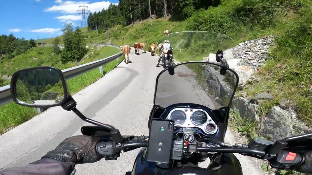 Aprilia Pegaso 650 & Kawasaki Z750