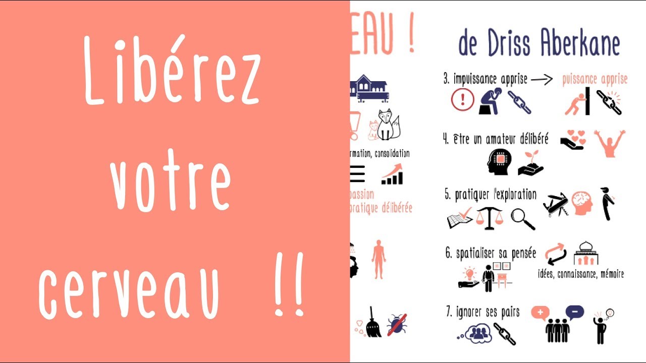 Utilisez le cerveau au maximum de son potentiel : Libérez votre cerveau ! de Idriss Aberkane
