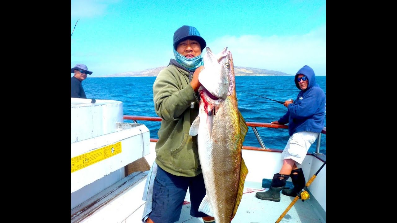 Rey's personal best 40lb White Seabass at San Nicolas Island - Coral Sea Sportfishing