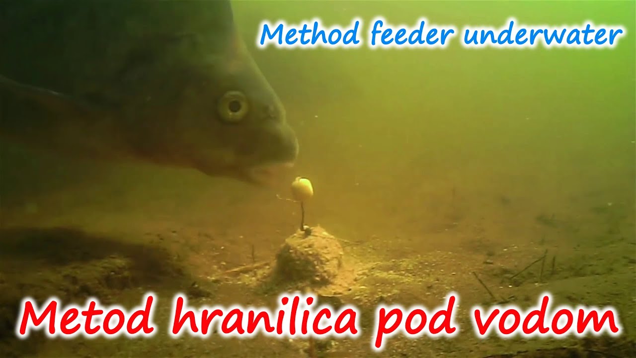 Metod hranilica pod vodom - Method feeder underwater