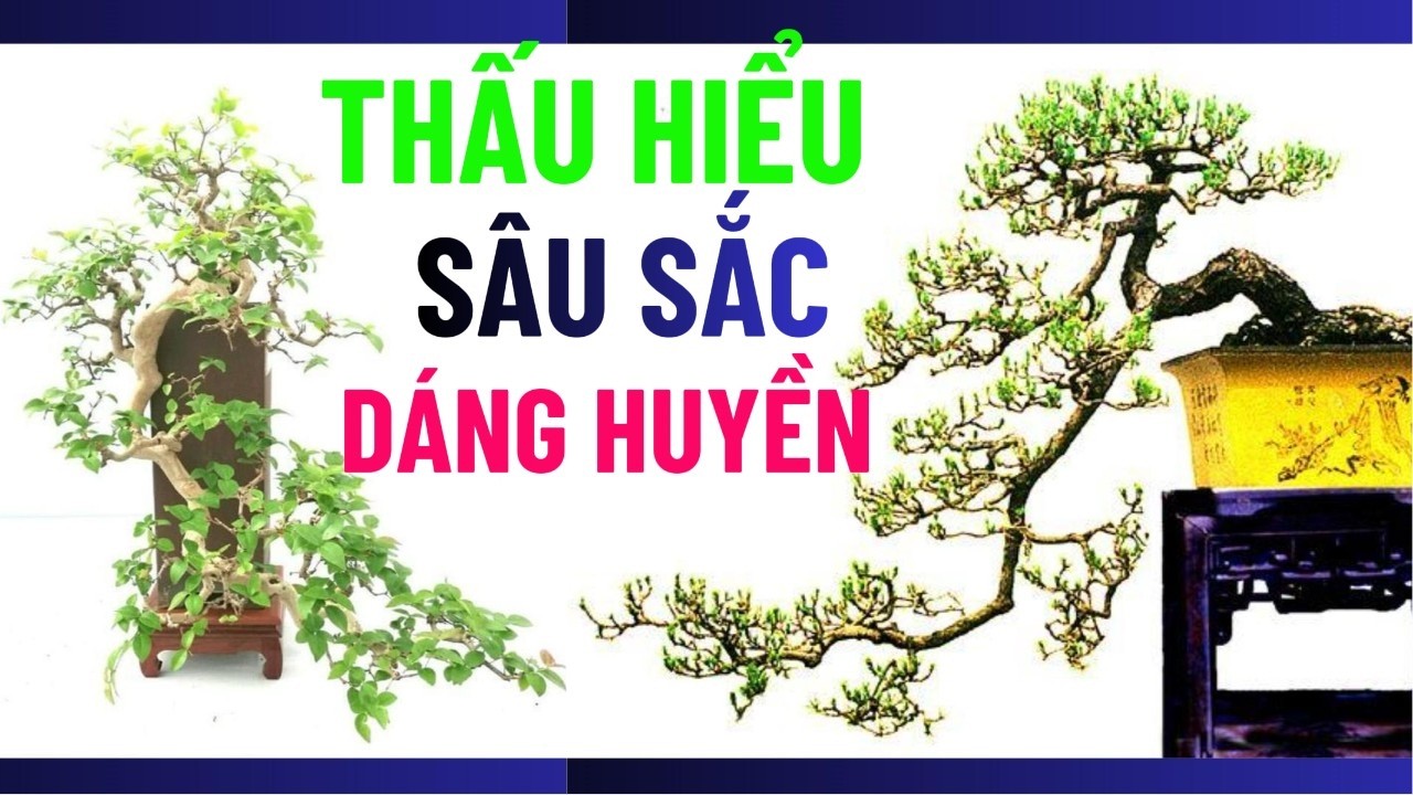 Sự Thấu Hiểu Sâu Sắc Về Bonsai Dáng Huyền Nhai(Nghệ ThuậtLĩnh Nam) bonsai huyền nhai#bonsainghethuat