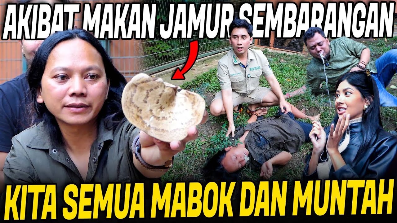 KAMI SEMUA KERACUNAN JAMUR ANEH SAAT JENGUK HARIMAU JINORA DI RUMAH ALSHAD