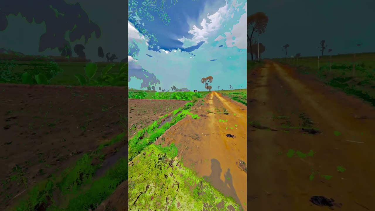 new 4k video 