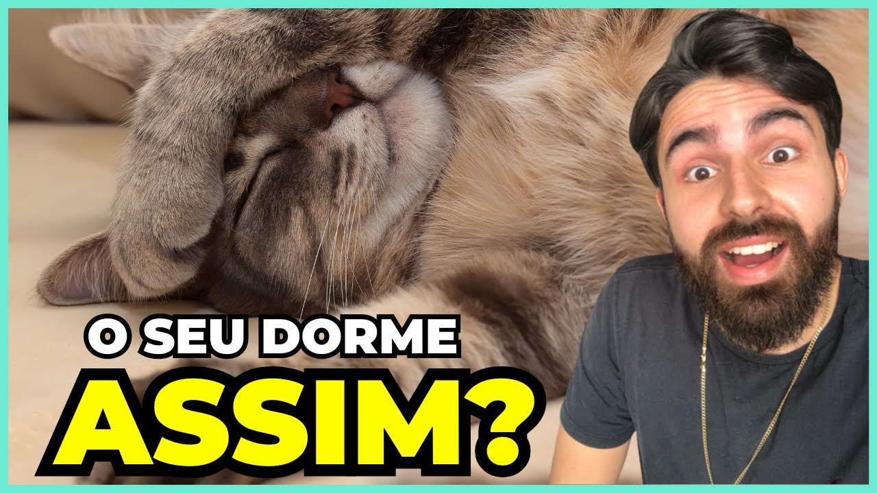 Se Seu Gato Dorme NESSA POSIÇÃO, Significa ISSO!