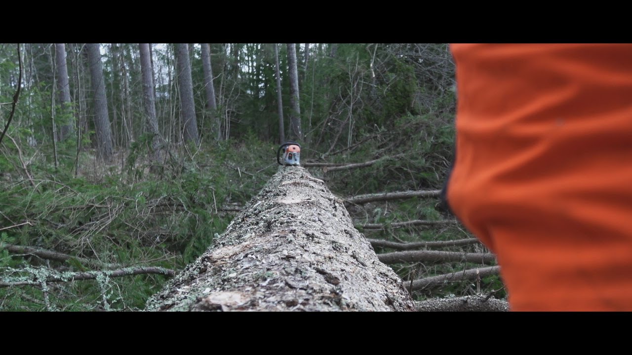 Eftermiddags gran med Stihl 500i