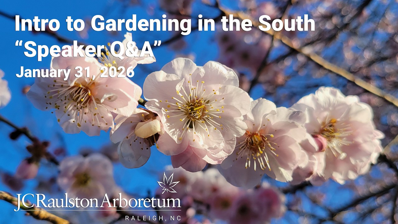 Intro to Gardening in the South - 