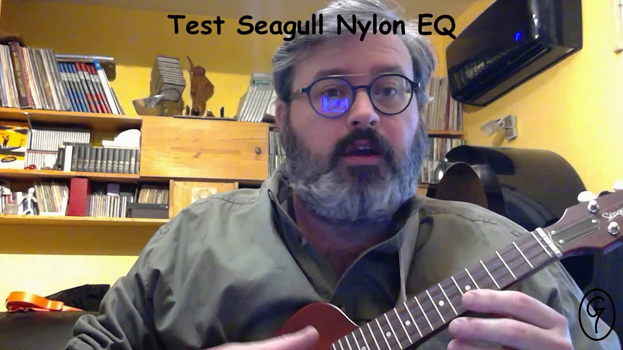 Test Seagull Nylon EQ Partie1
