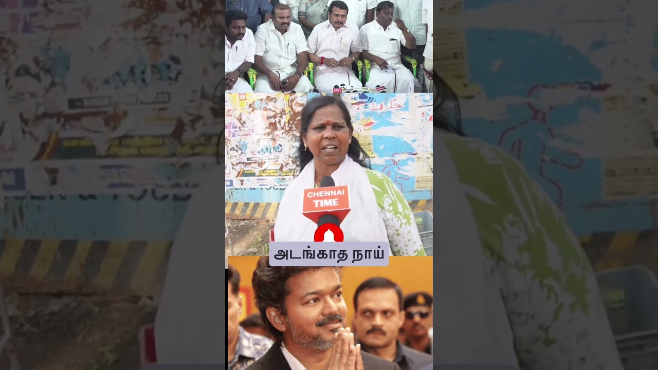 Tell her to come to Perambur 🤡 #tvk #publicresponse #cmvijay #thalapathyvijay #udhayanithistalin