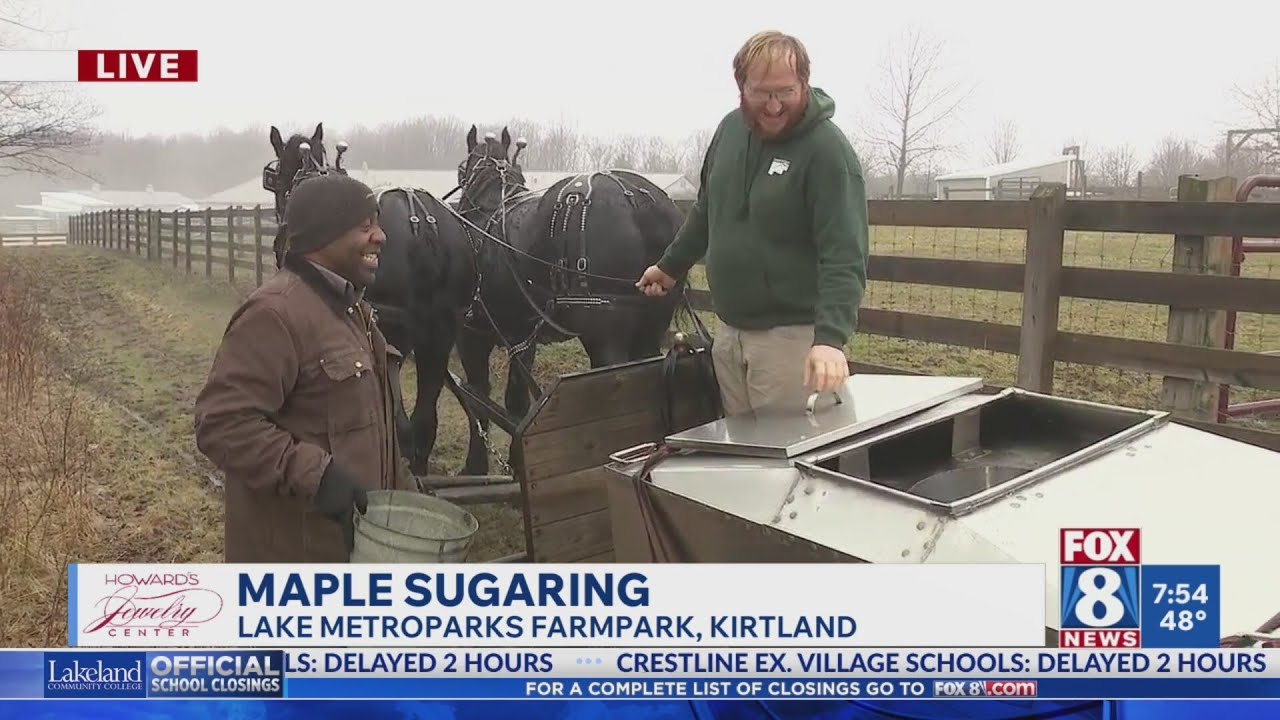 Kickin' it: Maple sugaring