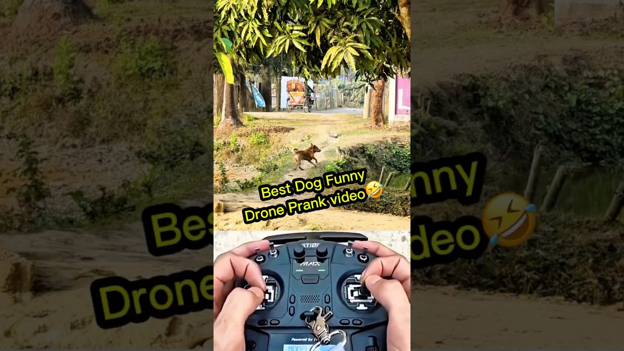 Funny Village Dog Drone Prank 😂 | Crazy Dog Reaction 🐶🚁 