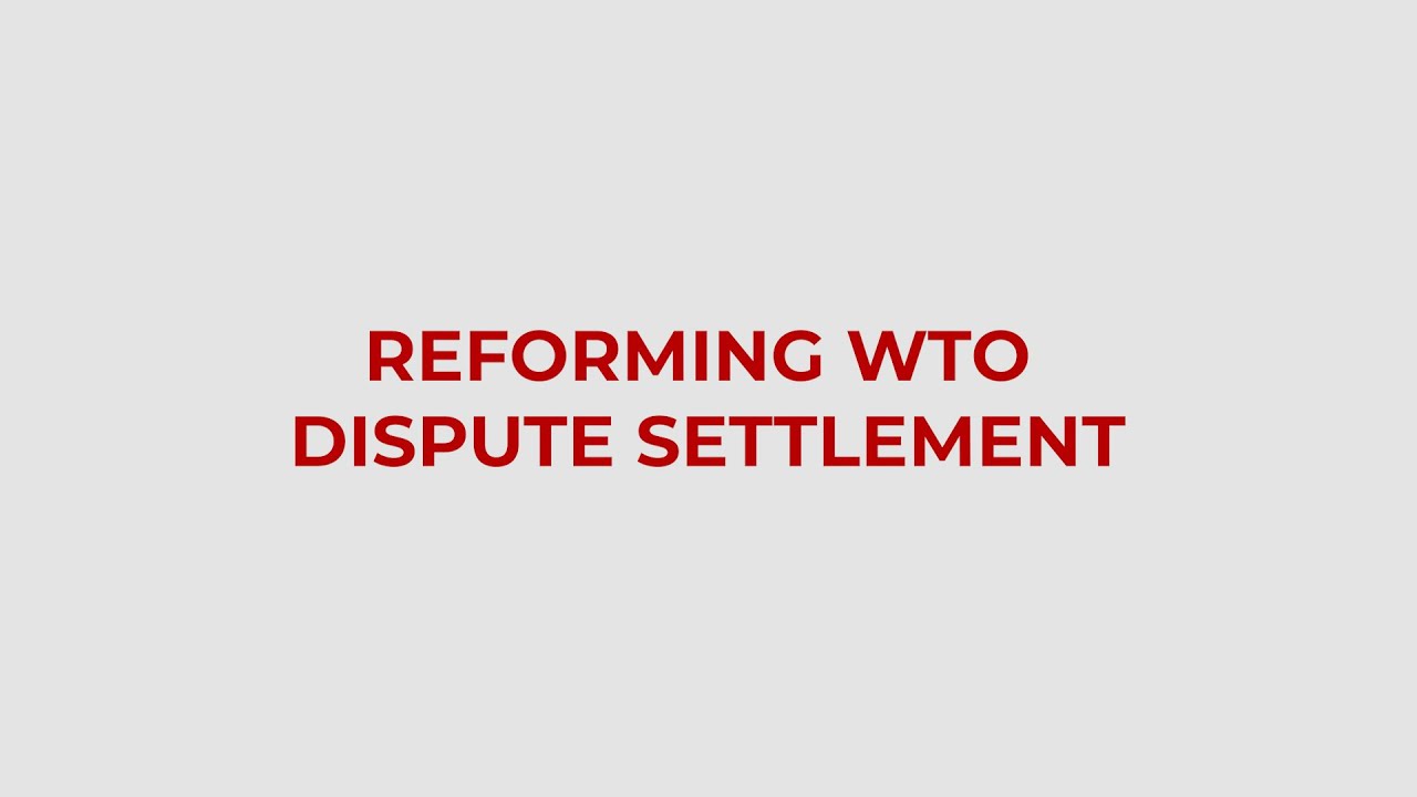 WTO Dispute Resolution System: What can be done?
