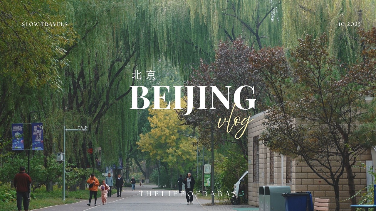 Beijing Vlog: Chill Vibes at Sanlitun, 798 Art District, Chaoyang Park