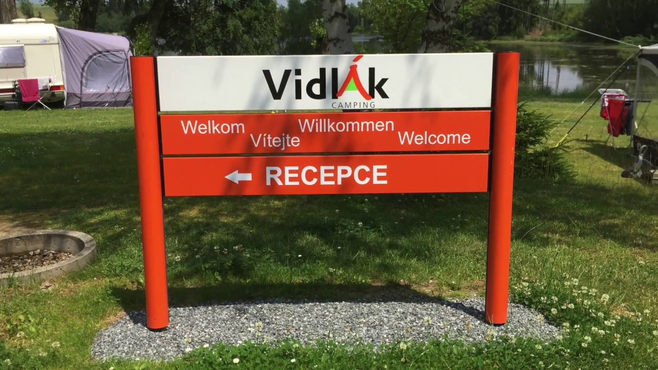 Vidlak