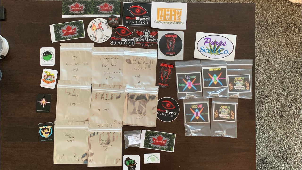 Mail Call Monday!! Best one yet