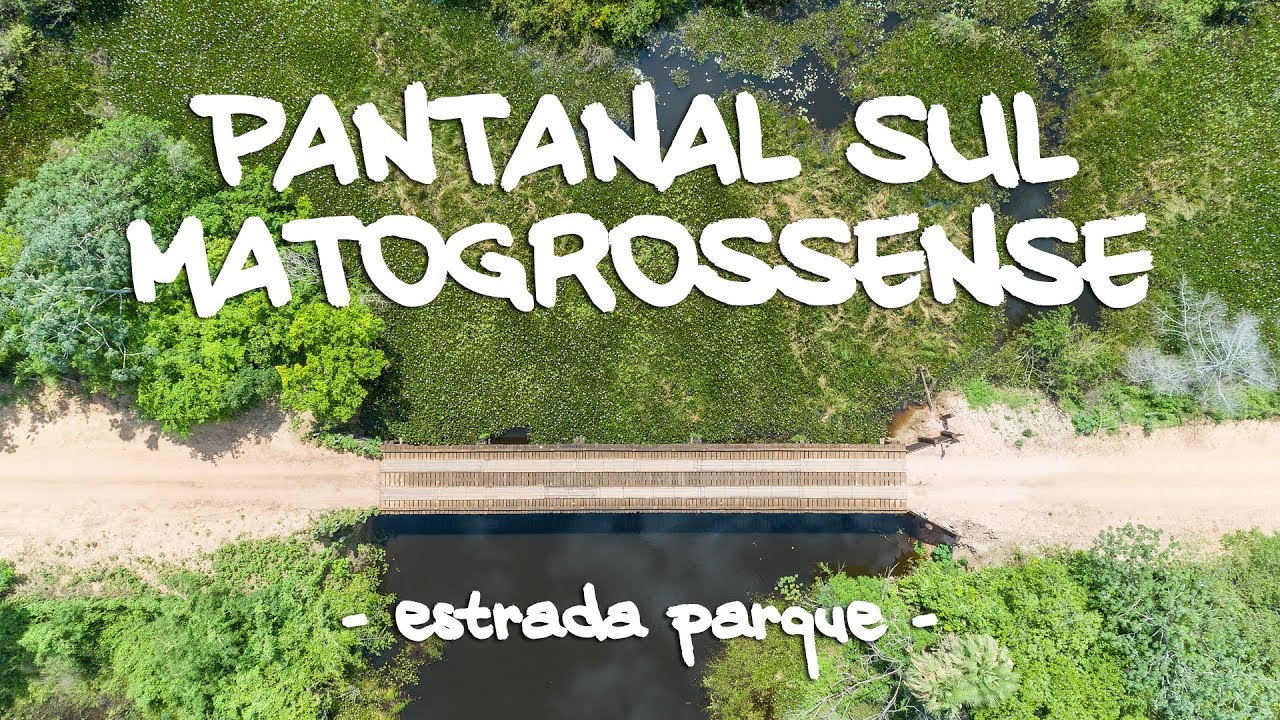 Estrada Parque - Pantanal Sul Matogrossense - Corumbá/ MS