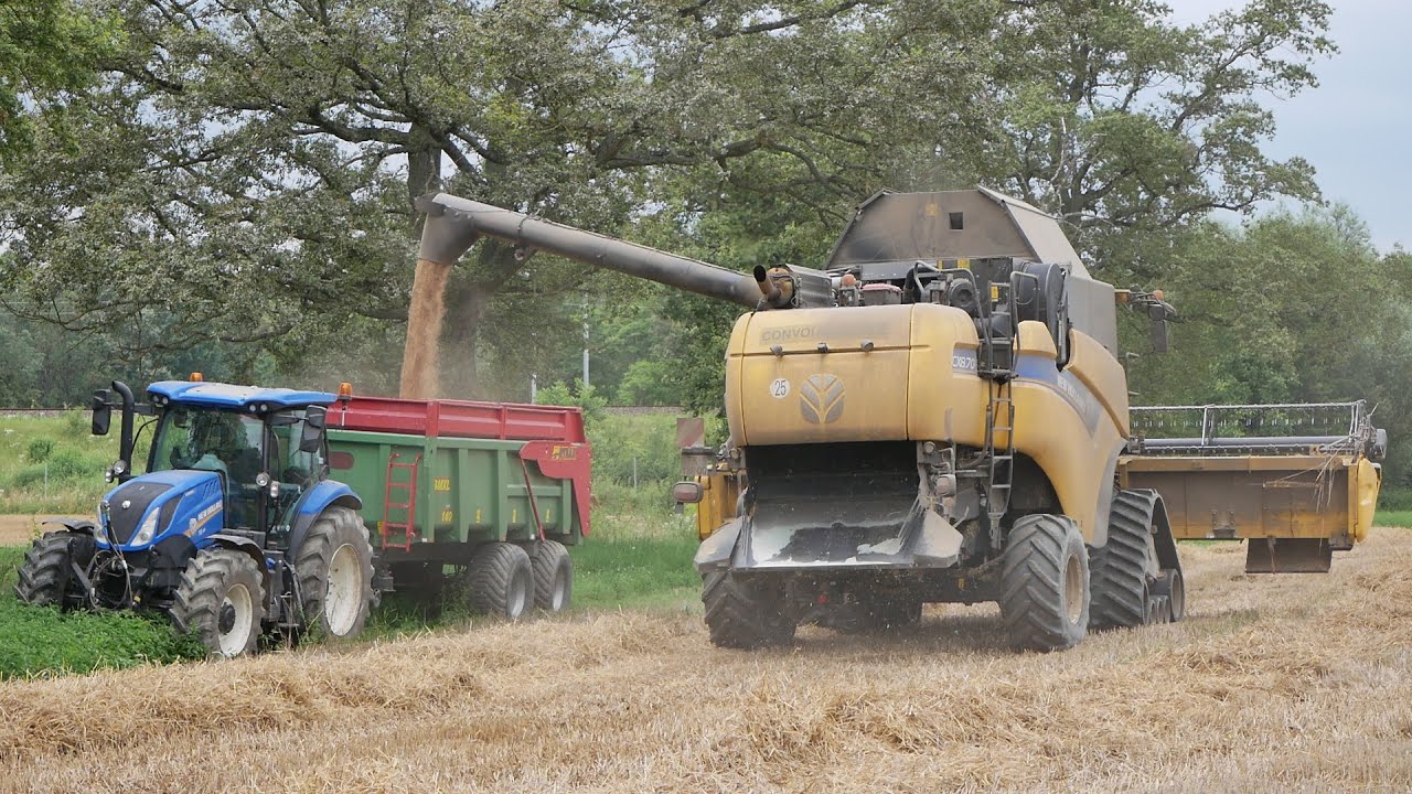 Moisson du triticale 2021