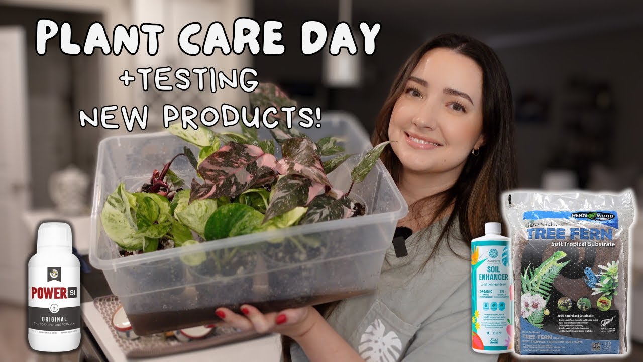 Water and Repot With Me Using NEW Products! Silica, Tree Fern Fiber & Soil Enhancer