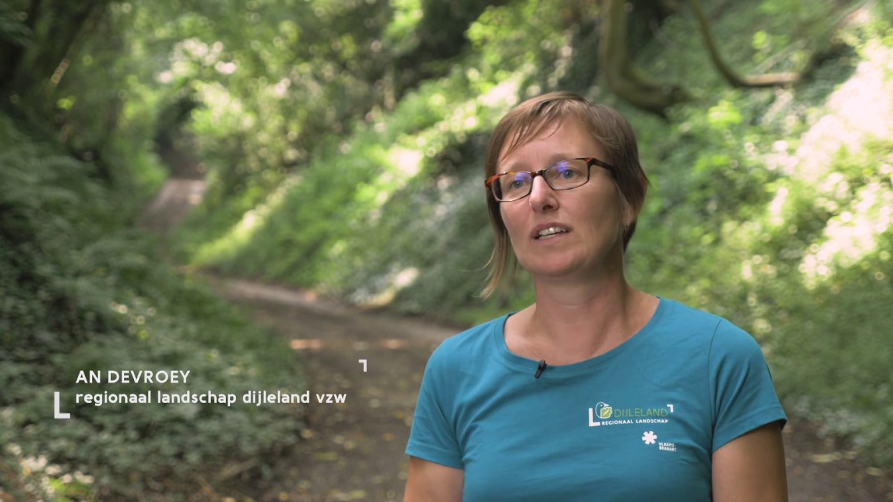 Holle wegen, landschappelijk erfgoed.