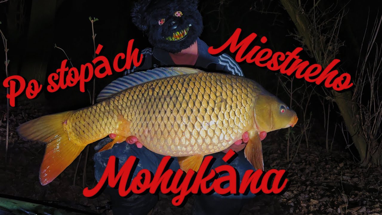 Po stopách miestneho mohykána #1 🐳Lov kapra na rieke Nitra🐳